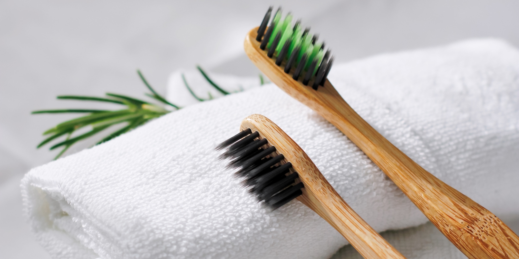 Is Fading Color on Toothbrushes a Sign to Replace Them?