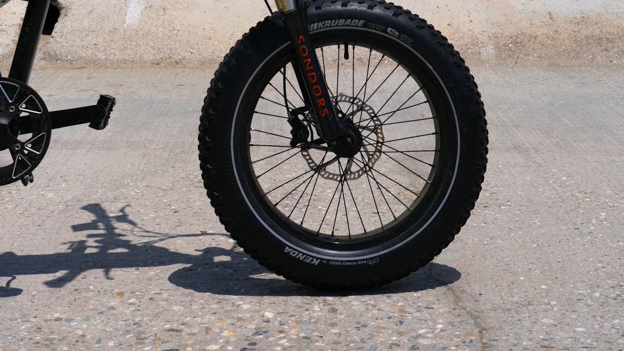 Why You Need Fun Custom Shirts for Dogs 